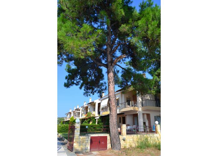 Townhouse Karolina in Nikiti Sithonia