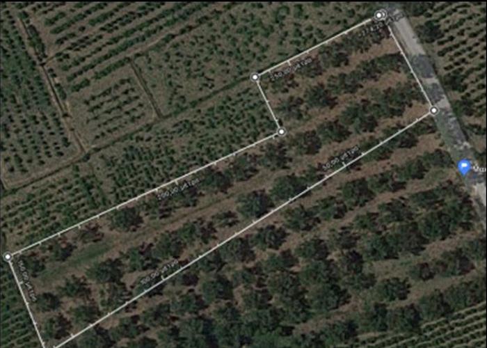 Land plot in Macherado