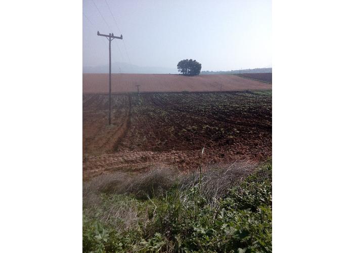 Land plot in Triada