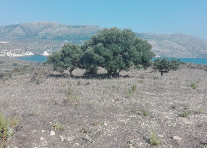 Land plot in Agia Thekli Kefalonia