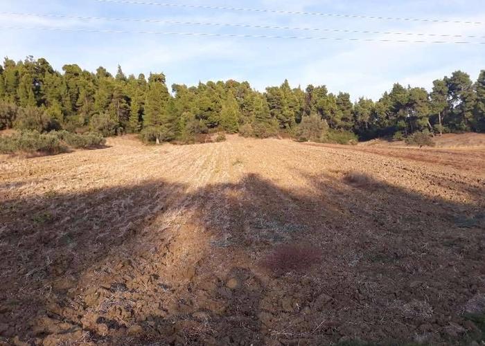 Land plot in Chalkidiki