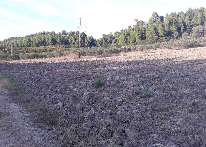 Land plot in Chalkidiki