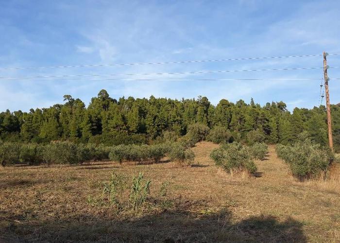 Land plot in Chalkidiki