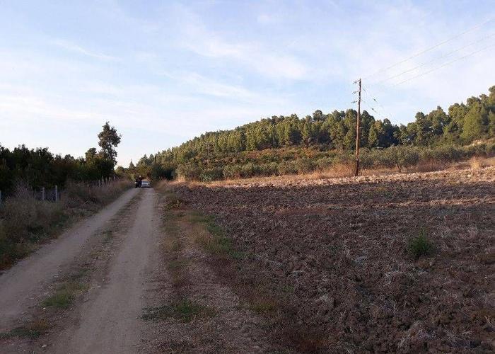 Land plot in Chalkidiki