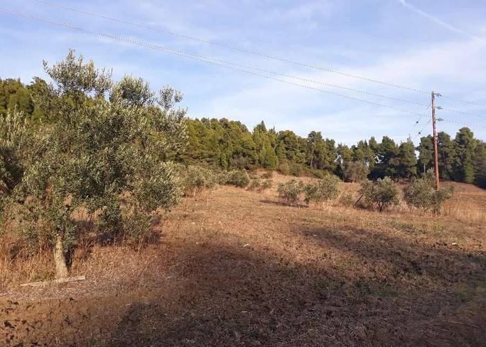 Land plot in Chalkidiki