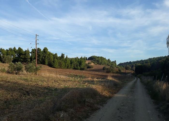 Land plot in Chalkidiki