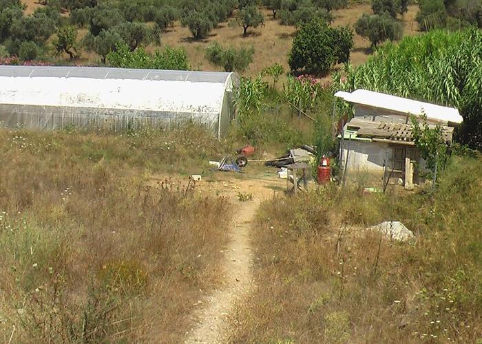 Μονοκατοικία στα Κριεζά Ευβοίας