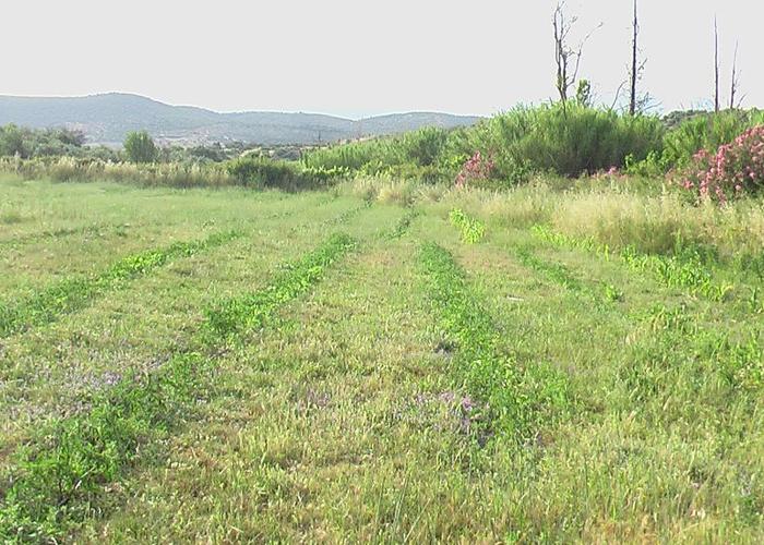 Μονοκατοικία στα Κριεζά Ευβοίας