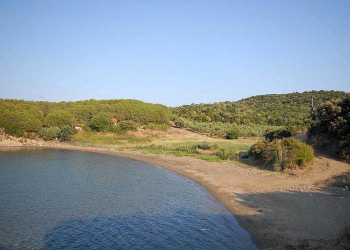 Land plot 24111010 in Chalkidiki