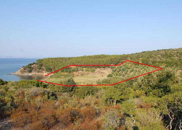 Land plot 24111010 in Chalkidiki