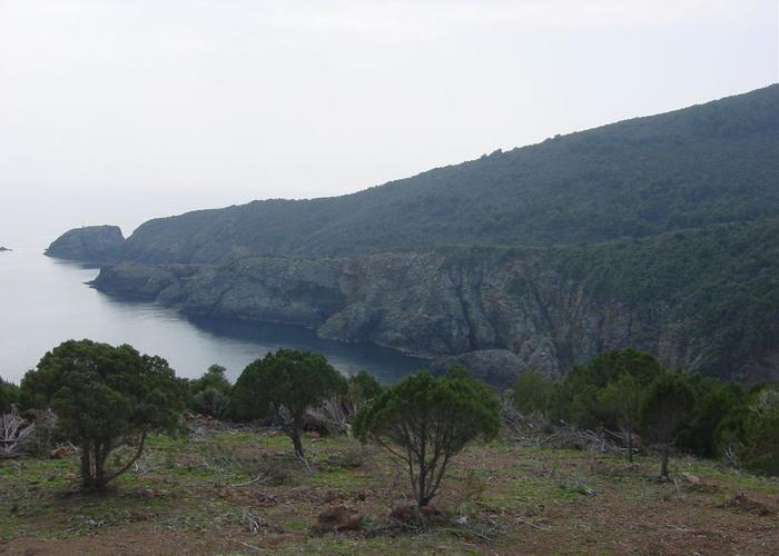 Γεωτεμάχιο στην Κασσάνδρα Χαλκιδικής