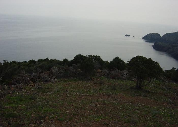 Land plot in Kassandra Chalkidiki