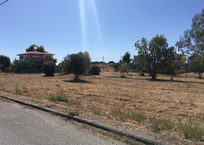 Land plot in Metamorfosi Sithonia