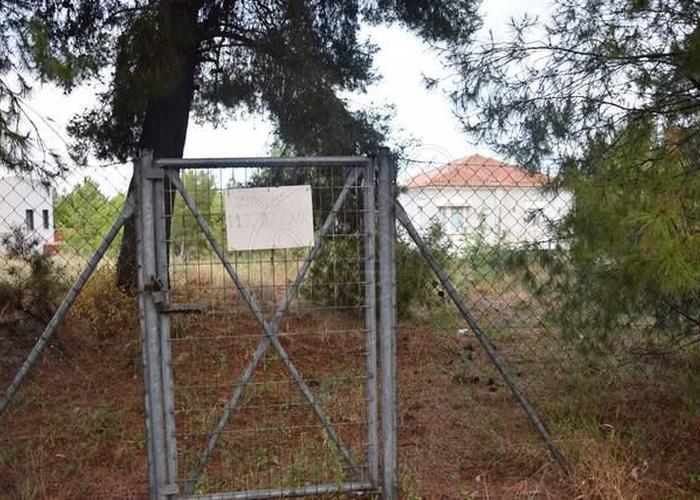 Land plot in Dioni