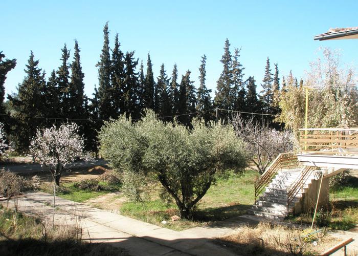 Μεζονέτα Καλύβες στην Χαλκιδική