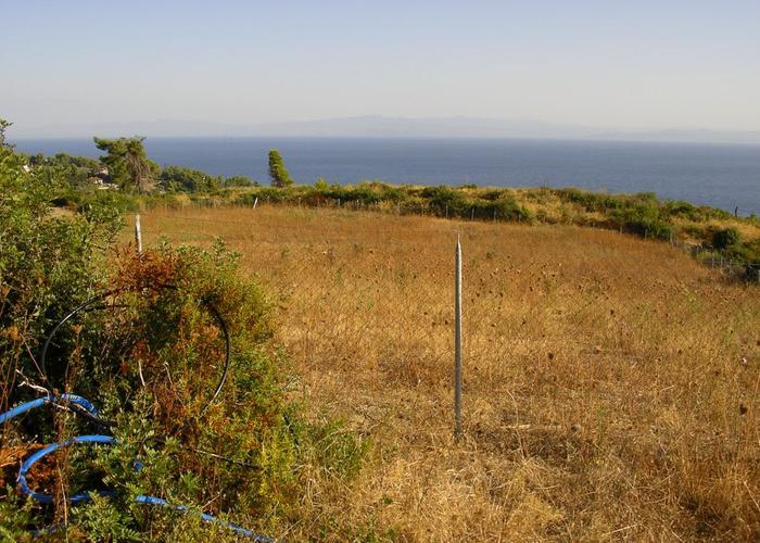 Γεωτεμάχιο στο Πολύχρονο Χαλκιδική