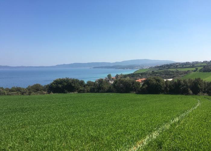 Land plot in Ierissos