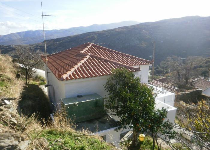 House in Stenies Andros