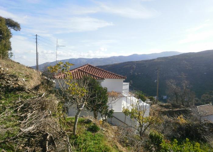 House in Stenies Andros