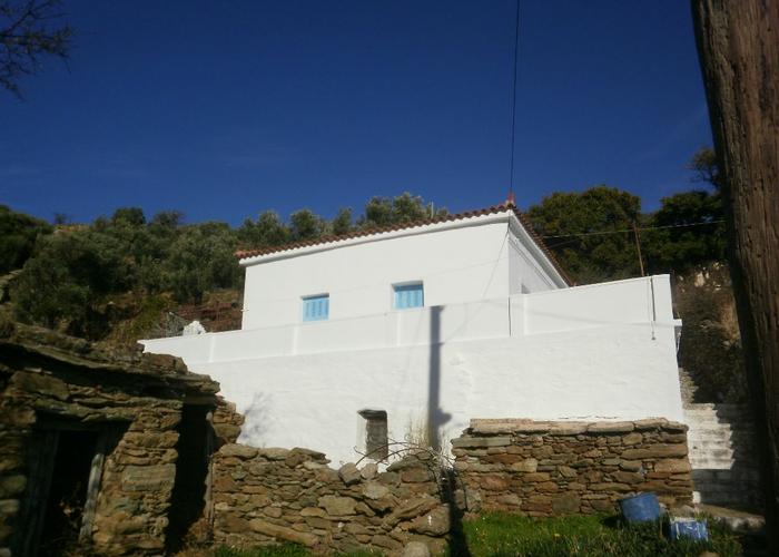 House in Stenies Andros