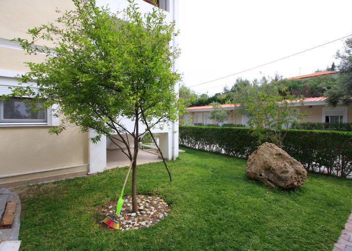 Apartment in Pevkochori Chalkidiki