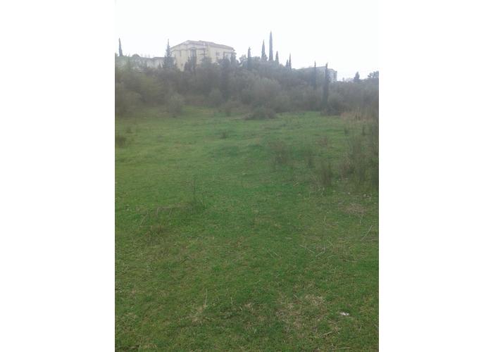 Γεωτεμάχιο στην Ηγουμενίτσα