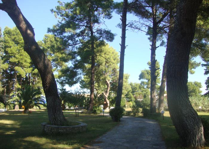 Villa Jasmine in Kassandra