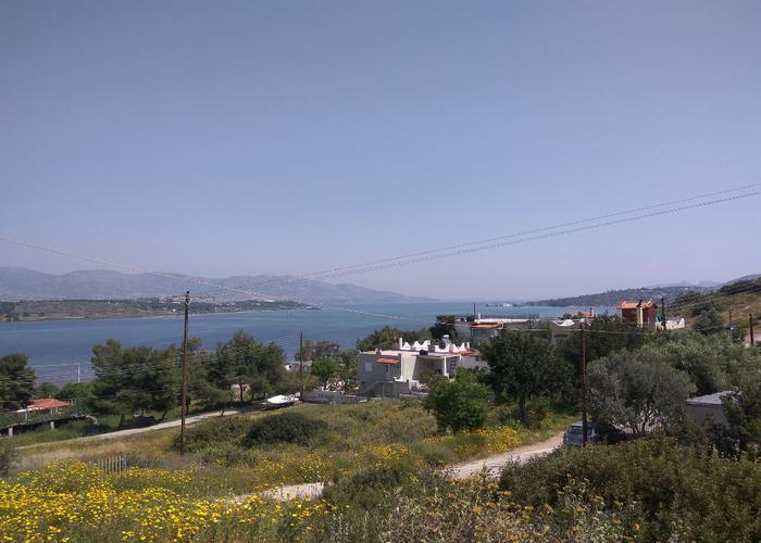 Γεωτεμάχιο στην Πάχη