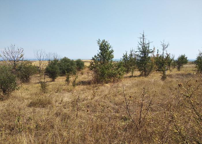 Land plot in Pieria