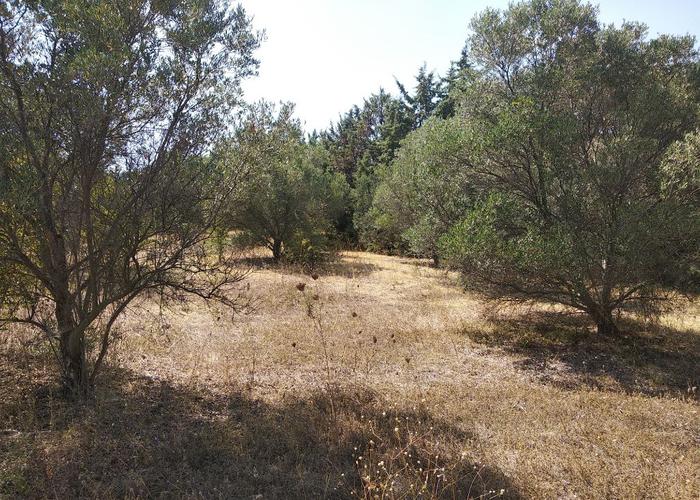 Land plot in Pieria