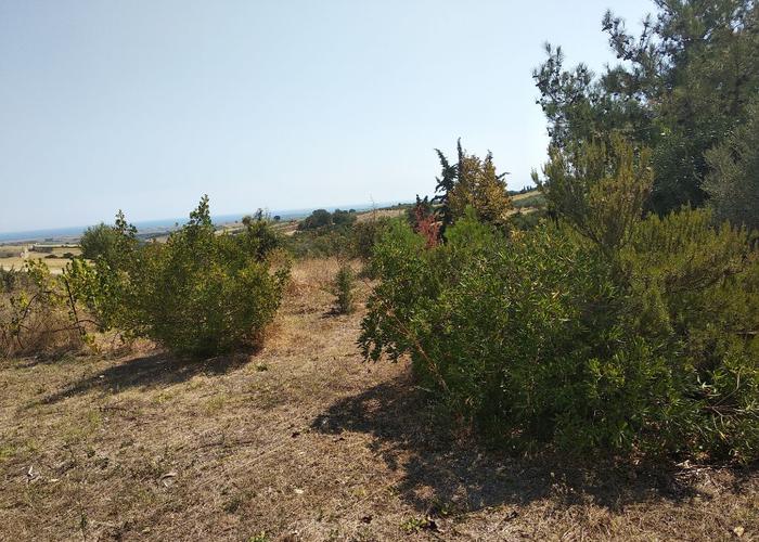 Land plot in Pieria