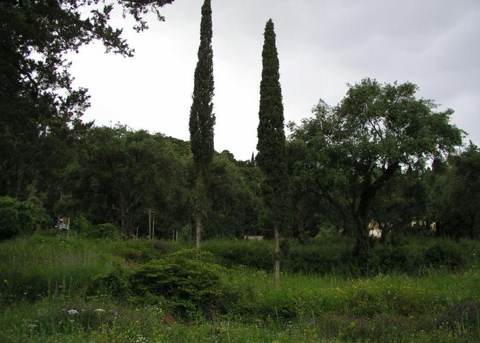 Land plot in Gastouri Corfu