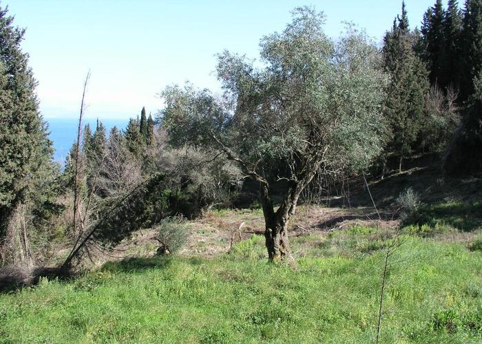 Land plot in Gastouri Corfu