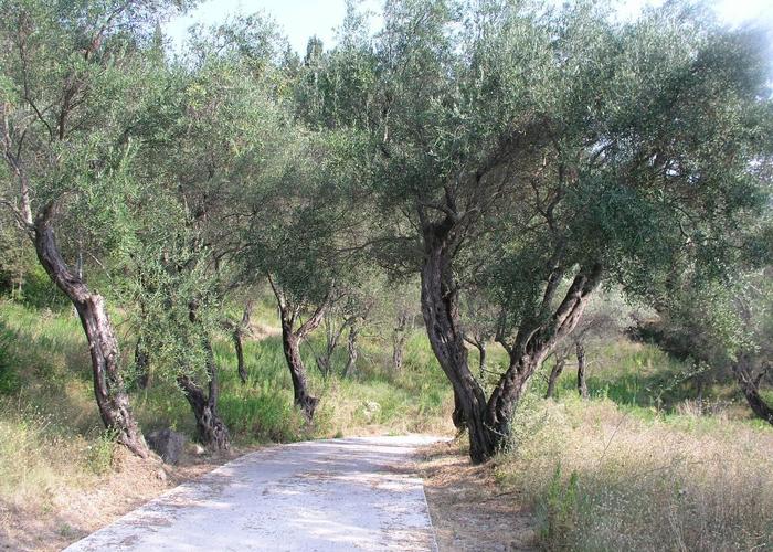 Land plot in Gastouri Corfu