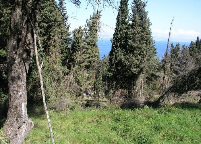 Land plot in Gastouri Corfu