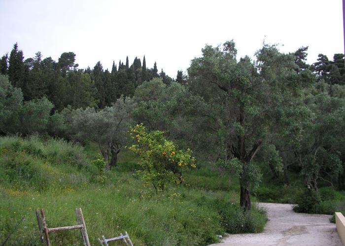 Land plot in Gastouri Corfu