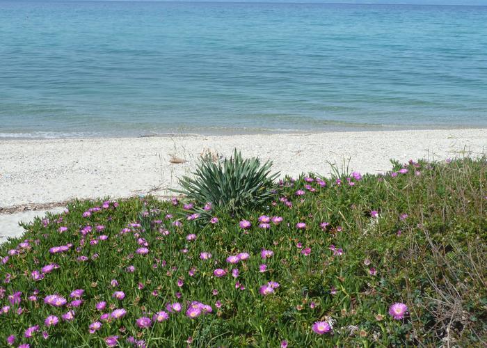 Μεζονέτα Στεφανία στην Κασσάνδρα Χαλκδικής