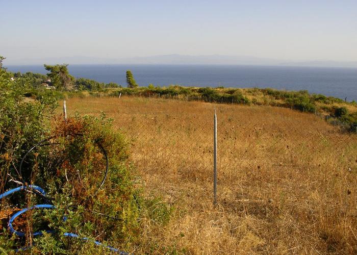 Land plot in Kriopighi Chalkidiki