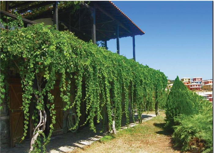 Villa Angela in Pyrgadikia Sithonia