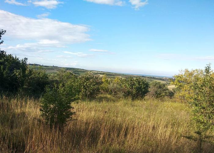 Land plot in Katerini