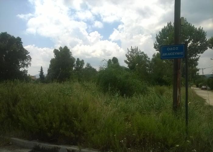 Land plot in Schinias