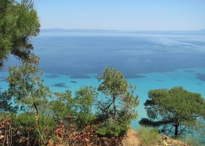 Βίλα στην Άφυτο Χαλκιδκής