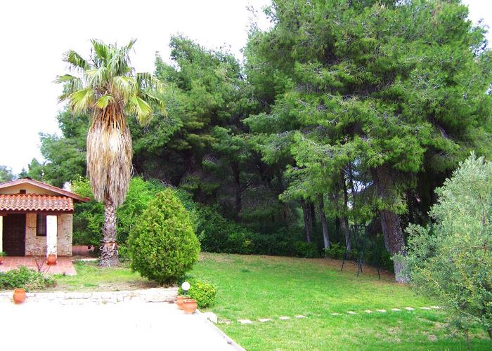 Βίλα στην Άφυτο Χαλκιδκής
