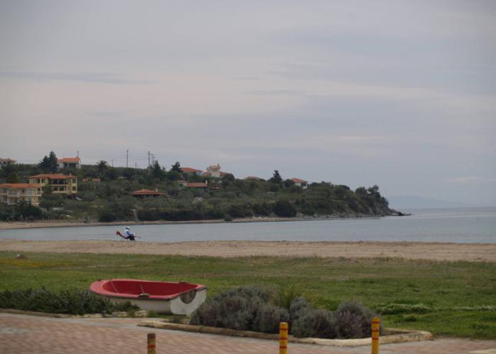 Apartments Danai in Gerakini Chalkidiki