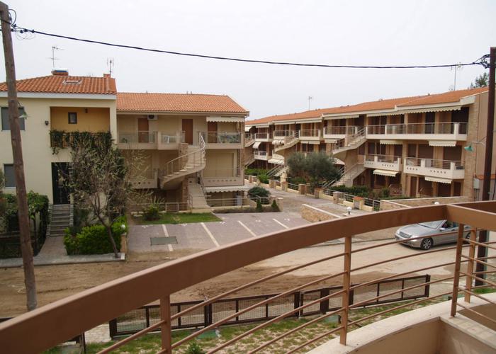 Apartments Danai in Gerakini Chalkidiki