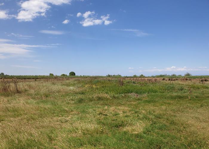 Land plot in Pieria