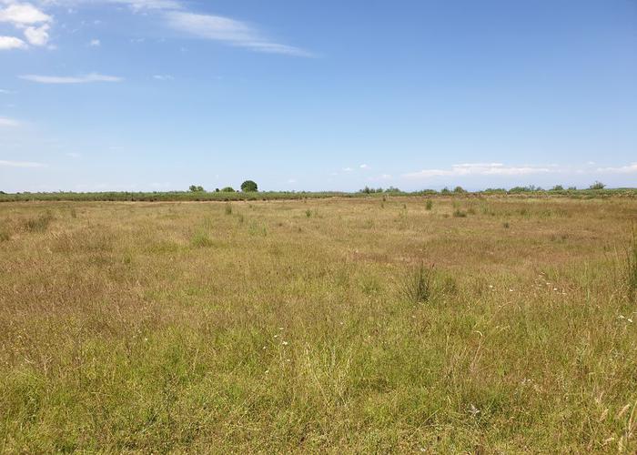 Land plot in Pieria