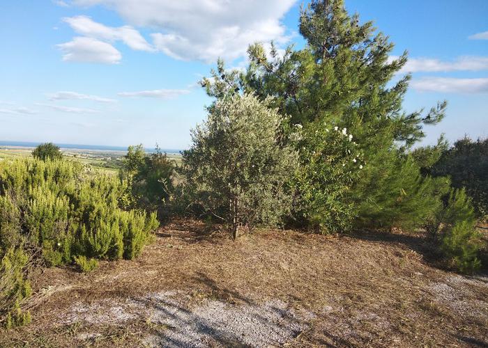 Γεωτεμάχιο στην Πιερία