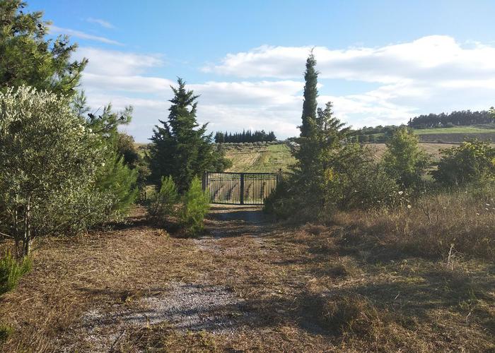 Land plot in Pieria