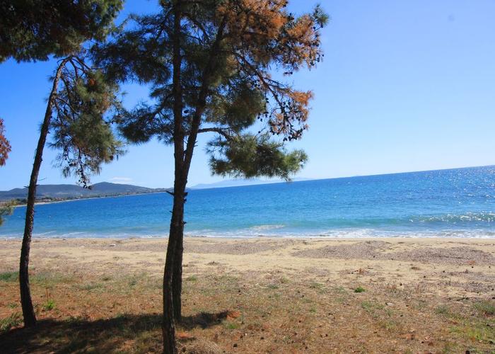 Μονοκατοικία στις Καλύβες Πολυγύρου Χαλκιδική